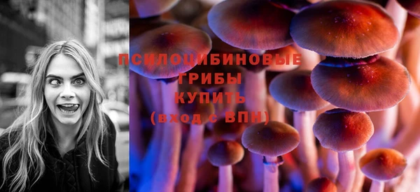 первитин Алексеевка