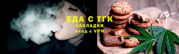 прущий лед Алзамай