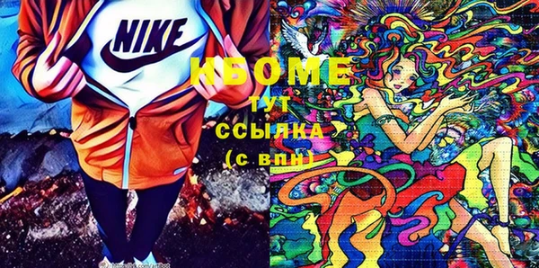 прущий лед Алзамай