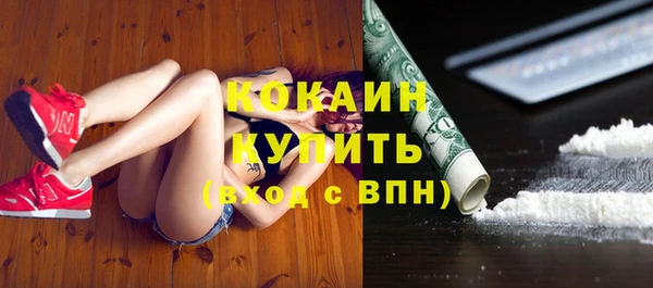 прущий лед Алзамай