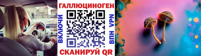 Галлюциногенные грибы GOLDEN TEACHER  купить   Кировград 